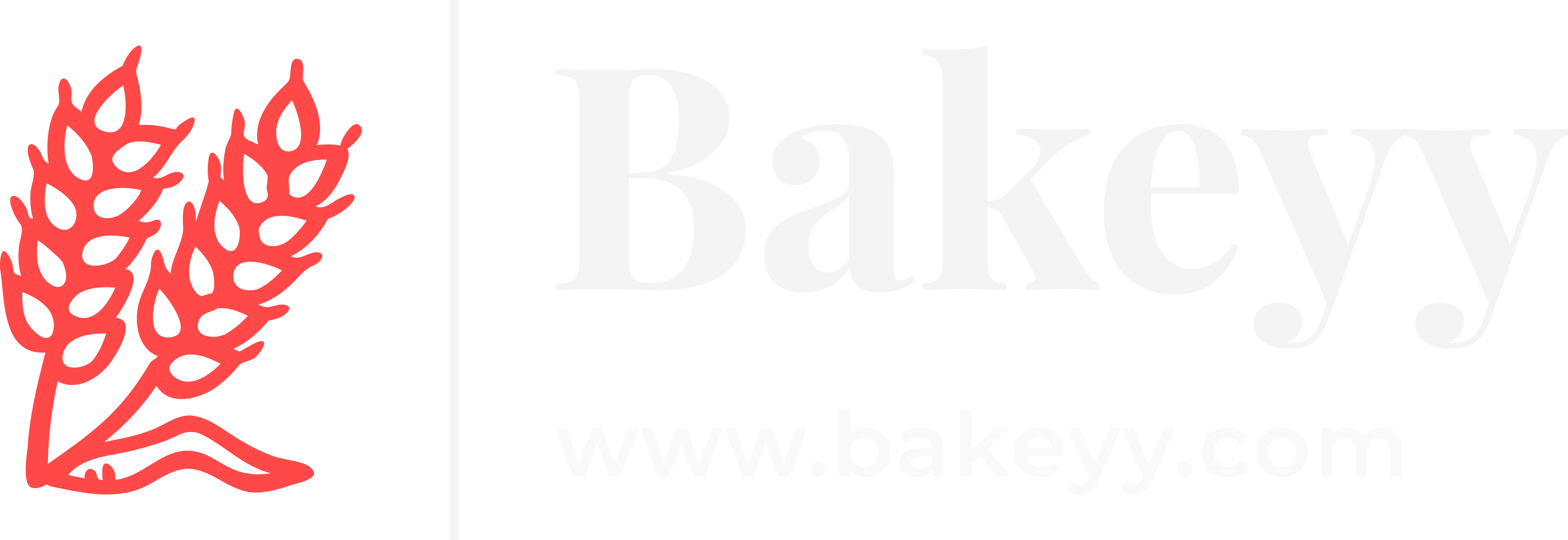 Bakeyy